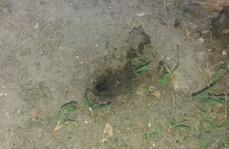 �� ����� �������� ���-�� �������� ������ ���� ����, ��� ������� �� � ����