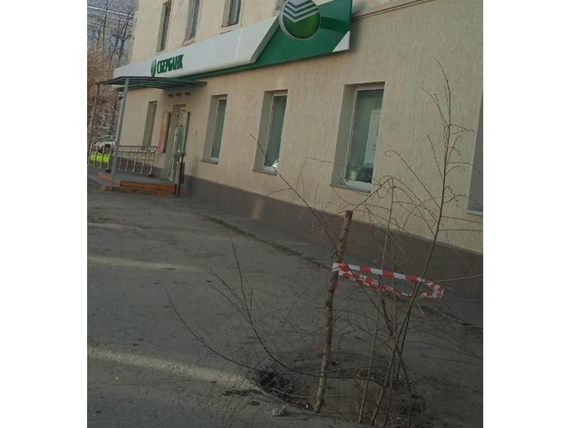 ����� - ����� ������ �������? ������� �������� �� ����� ������� �������� � �������