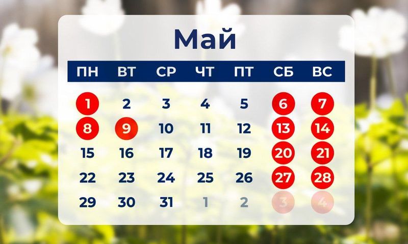 ��� �� ���� ��������� �� ���� ������������: �� ������ ���������� �������� ���� ����� �������� ��������� ����