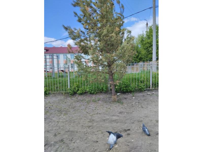 ������ ����, ��� ��...� ���������� ���������� � ������ ���������� � ����������