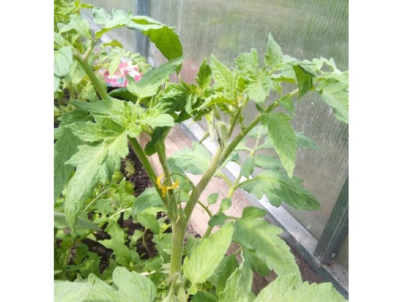 ���������� ��������� ���������� �������� �������� ������ � ���������� � ���� �������-2023