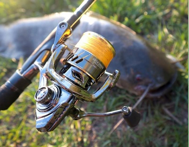 ����� � ��������: � ������ ��������� ����� ������ ����, ������� ������ �� ����� ���������