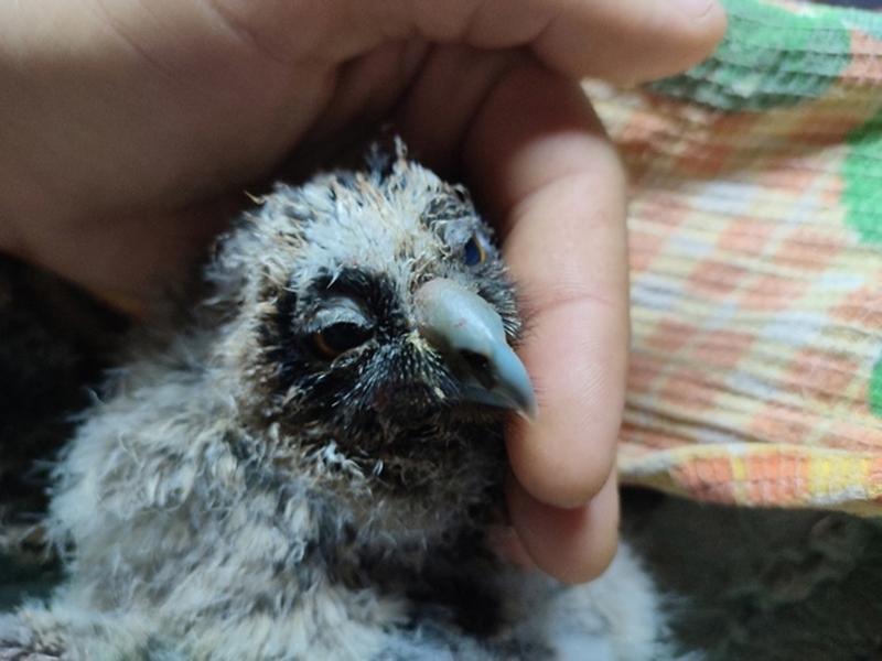 ������ ������, ���������������� �� ���������� ���� �� �������� ������� - �� ��� ��������� ������