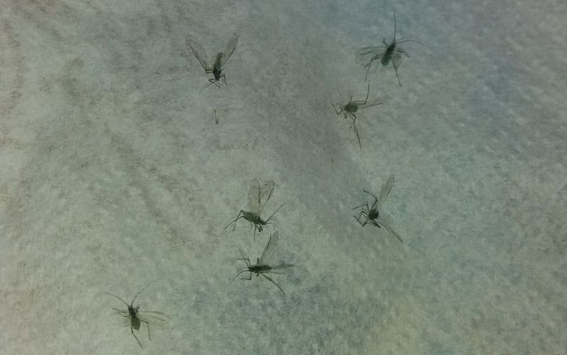 � ������� ��������� ������� - ������ ������ ���������� � ���, ��� ������ � �� ���� ��� �������