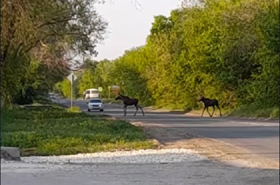 ����� �������� � ������: ����� � ����� ������ ������� ��������� ������ � �������� � ������ �� ����� ���������