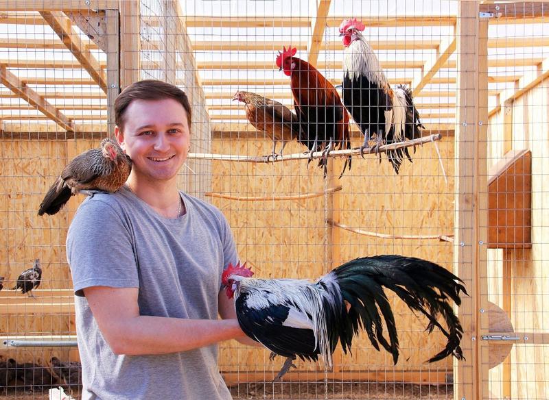 � ������� ���� ���� ����� ������ - ������, ����������, � ����� ���� ����������� ��� ������ ��������� ������: ��� �������� ����� ������ ������