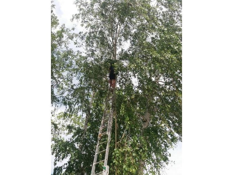 ���� ��� ����, ��������: ������ ������� ��������� ��������� ��������� �� �������, �������� ������������� �������