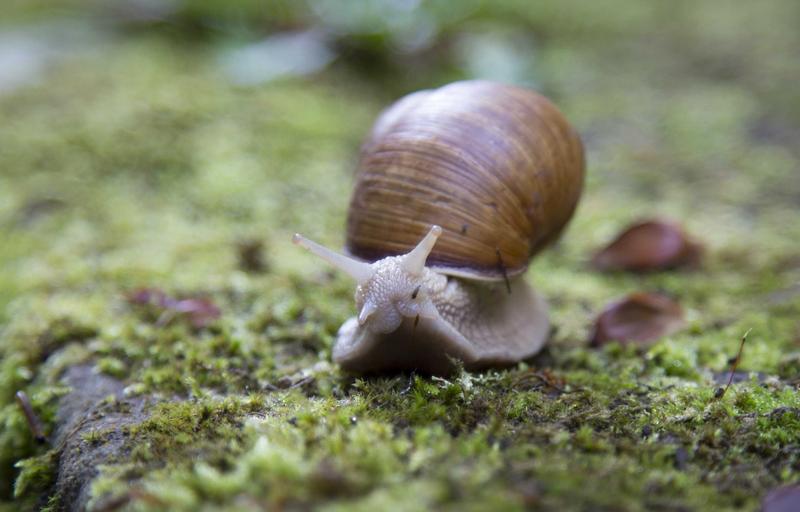 ��������� ������ �������� ������� �������� - ��� ����� ������� ��� ������ �� ������� � ��������