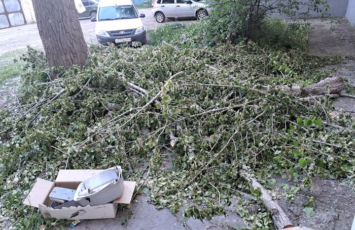 ������ ����������� ������� �������, ��� � �� ��� ��� ���� ������ ����������