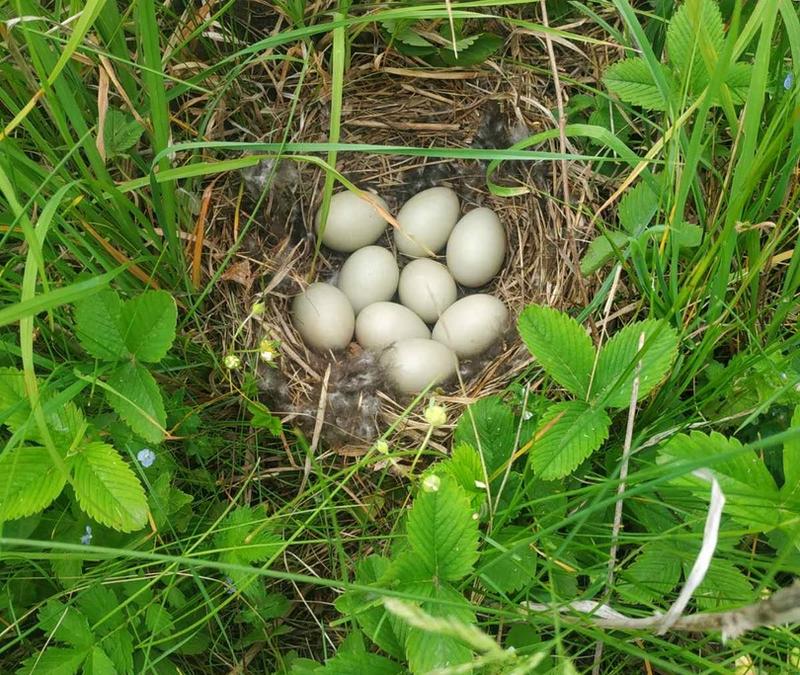 �� ������: ����� ���� �� �������� �� ������� ������ - � ������ ��� �������� ������ �������