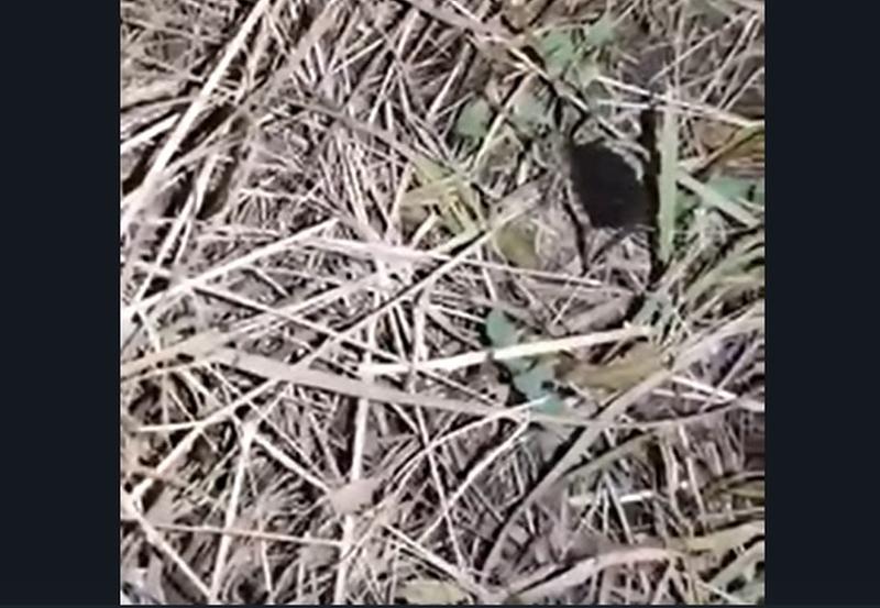 � ������ ������� ��������� �������� � ������ �� �������� ����, �������� �� ����� ������: �����