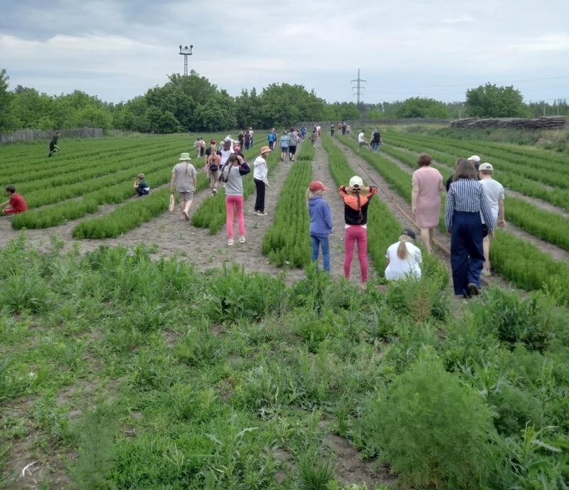 ������� �� ������� �������� �� �������: � ����������� � ���������� ������ ���������� �������� ���� �������� ������