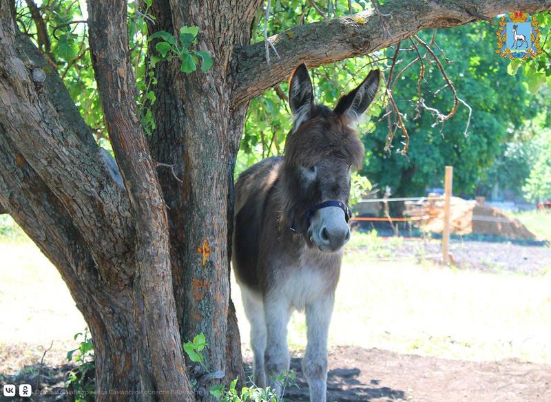 � ��������� ������� ��������� ��������� �������� �� ����� � ���������� ��������: �������� �� ��������� �� ���������