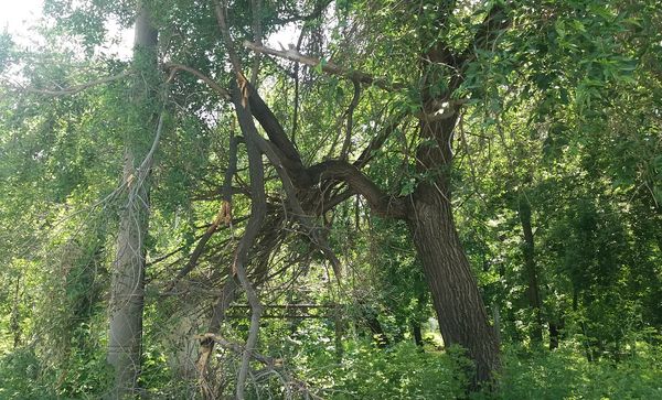 � ������������� ����� ����� ��� ������ ����� - � ���� ��� ��������� ������� ���� ��������, � ����� ����� ������� ���