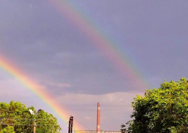 ������ � �������� ������ ������ ����� ���������� ������ ���, �� ��� �� ��������� ���� ���� ����� ��� ����������