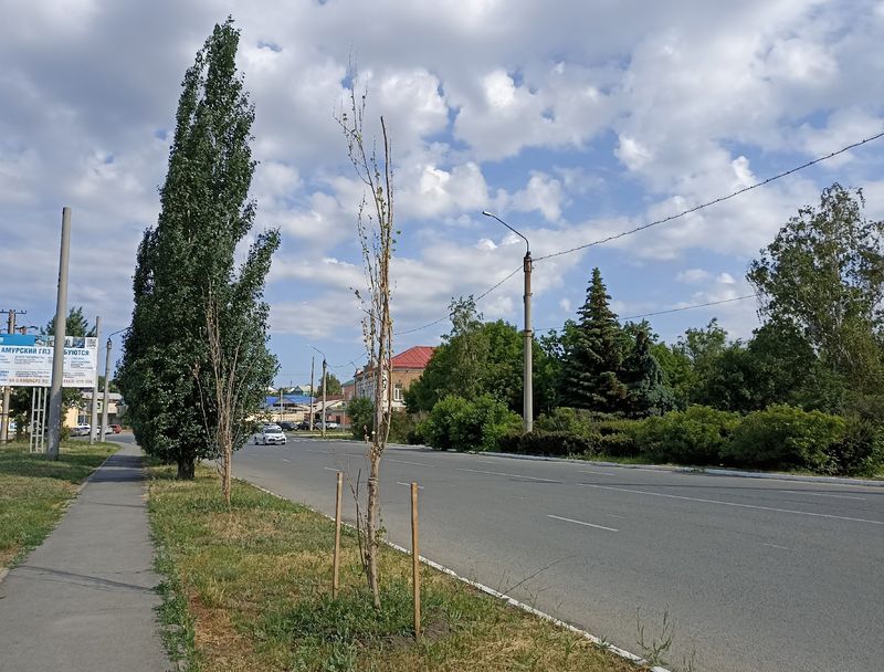 ����������� � �������: ���������� � ������ ������� ������ ��������� �� �������, � �������