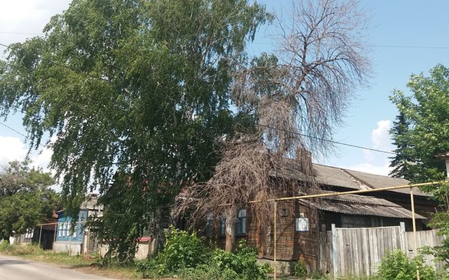 ������������ ����, ������� �������� ���� ��������� ��� ������� ����, �������� ������� ��������� ���� ������������ ������ �����