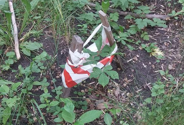 ��������� �������� ������ �������, ���������� ��� � ���������� �����