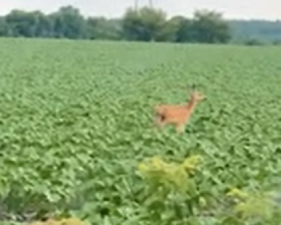 �� ������� ������ � �������: � ���� ��� �������� ������������� ����� �� ����� ������