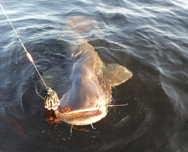 ���� ����� ���� ������!� ����� ������ �������� ���� �� 44 �� � ���������, ��� ����� ������ ���