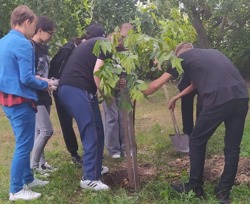 ���������� ����� � ��������� ������� �������� ��������: ������ �����, ����� ��� �� �������. ������ - � ������ ������