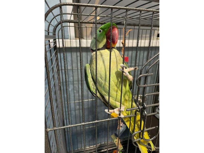 ������� ������� �������� ������ �������-�������, ������� ��������� ��������� � ���������� ��������� � �� ������ � ������