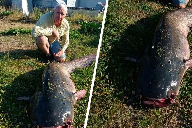 � ������� ��� �������� ��� ������ ����� ��� ��������� �� ����� ��������� ����