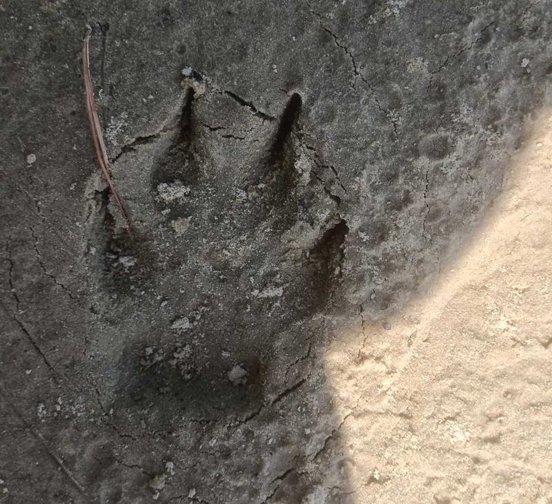 ������������!� ������ �� ������� �������� ������ �� ���������� ����������� �����