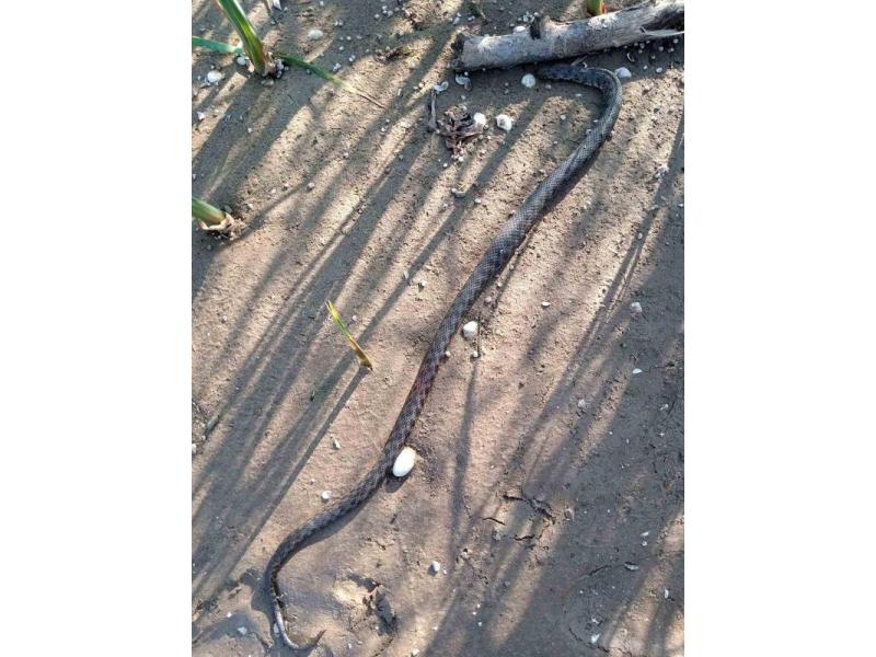 ���������� ��� �� ������ �� �����: �������!� ������ �������� � ������ ����������� � ���������� � ������������ ���������