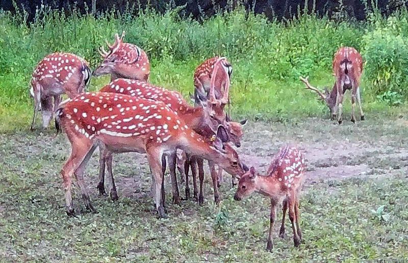 � ������ �� ����: � �������� ����������� ������ ��������� �����, � ������� �������� ����������