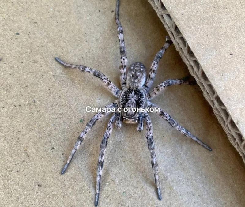 ������ �������� �� ���: ������ ��������� ������� ����� ��������� ���������� ����� �������� �����