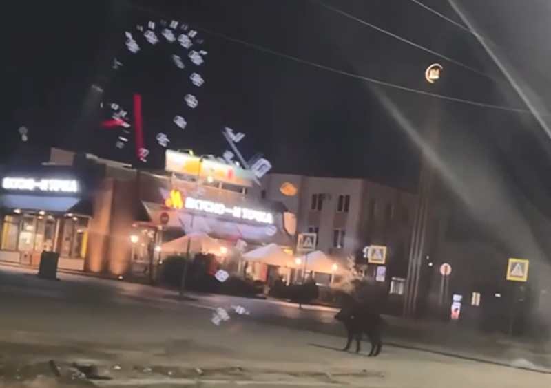 ����� �� ������� ���������� ����� - ����� �������� ���� �������� � �������� ������ ������