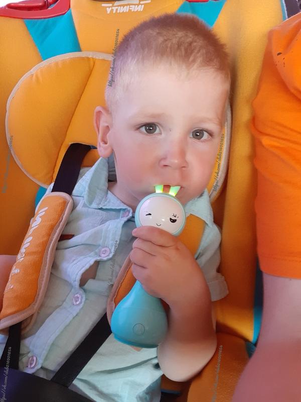 ����� ����� �������, ��������, �������� ������ ������� �������� �������� � ������������, ���������� �������� � ���������