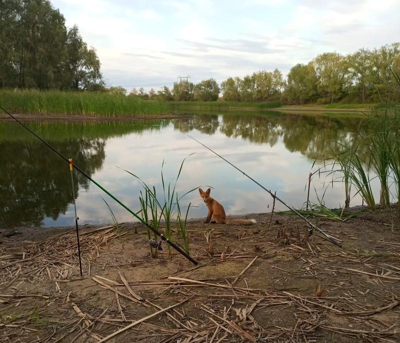 ������ ������� ���������� � ����� ���������, ������� ���� �� �������� ��� �� �����