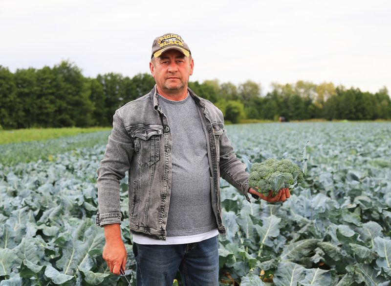 ��������, ������������ ����� �� �������� �������, ���������� ���� ������� ���������� � ����������� ���������