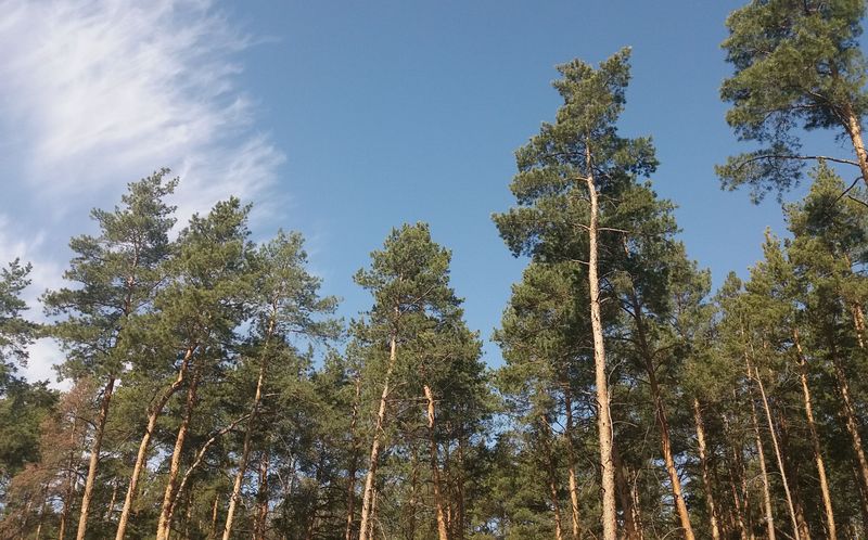 � ���� ���� � ��������� ������� ������� ����� 900 �������� ����