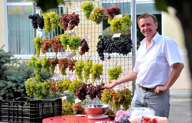 ������� � ���� ������ ����� ������� �� ��� ��������: ��� ����� ����� ������, � ���