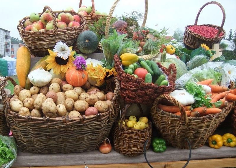 � �������� ���������� ��������� �������� ������� ������ �� �������������� �� ���������� ��������