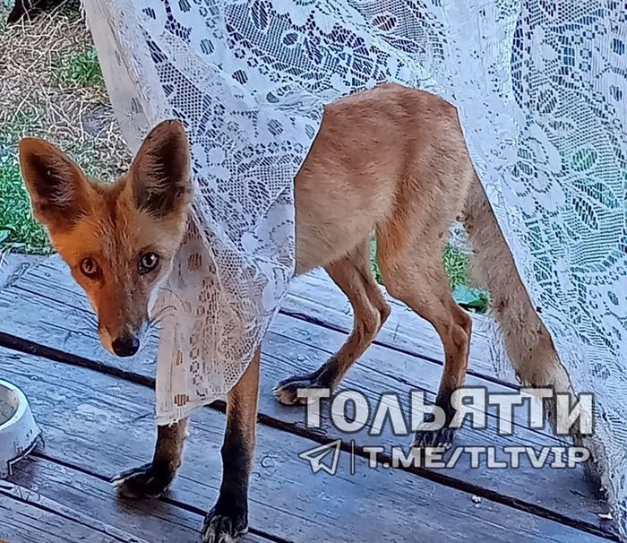 ����� ���� ������ � �����, � ����� ���, ��� �� ��������� � ��������� � ��������