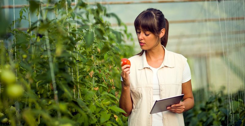 � ��������� ������� 35 ������� ���� �� ����� ������ �������