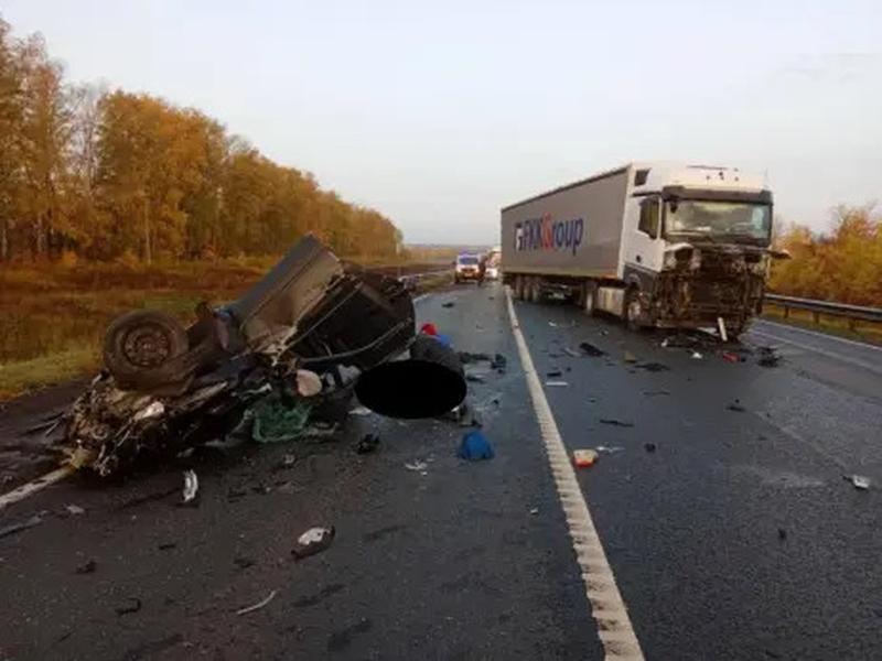 ��������, ����������� ���� ������� �� ������ ��� ��������, ���� �������� ����