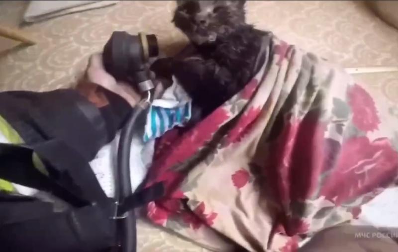 �������� ������ �� �������� ���� ���� � �������� ��� ����������