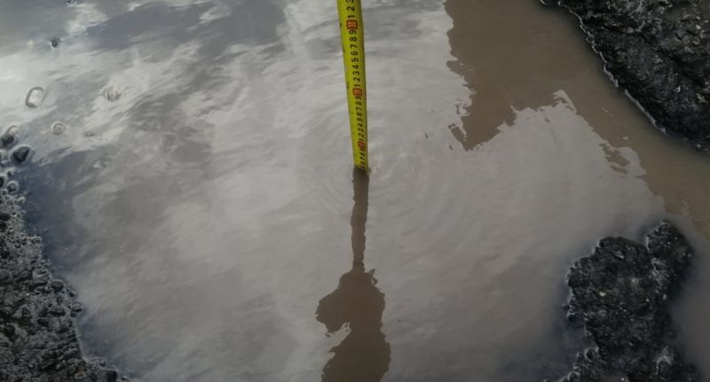 �������� ����� ������������ �� ������ ��������� ����� �� ���� � ��������