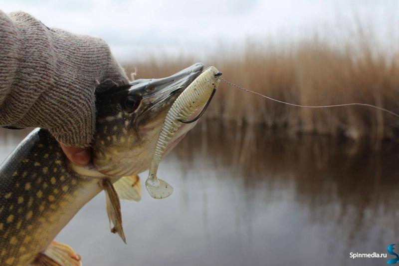 ��������� ���� �� ������� � ������ � ��� ������: ������� - ������ ����