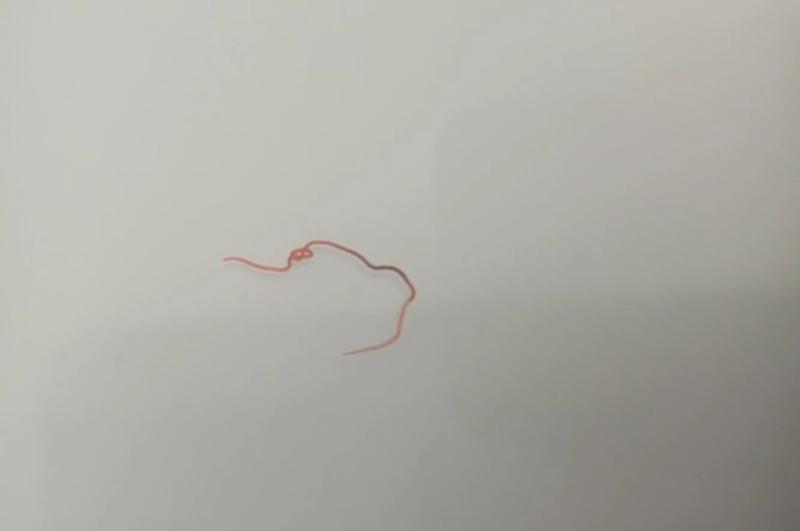 ���� ����� ����� � �������������: � ��������� � ����� ������ ��������� ��������� �������