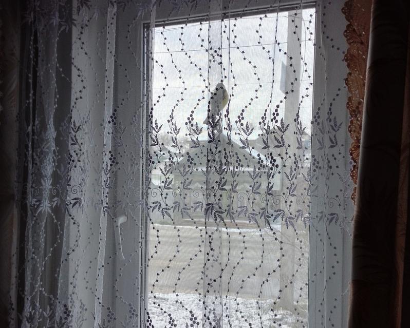 ���������� �������� �� ��������� ����� ������ ���������� ������� ��������� ����� �����