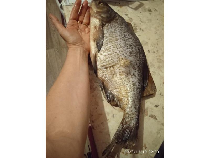 ������, ��� ���� ������!� ���������� ������� �� ������ ��������, ��� �� ��� - ������� �����, ���� ���������� � ���� ����, � �� �����