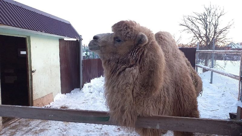 � ���������� �������� ������� ���� ������������� � ���� � ���������� � ������������� �������� ���������� ���������� ���� ��� �����