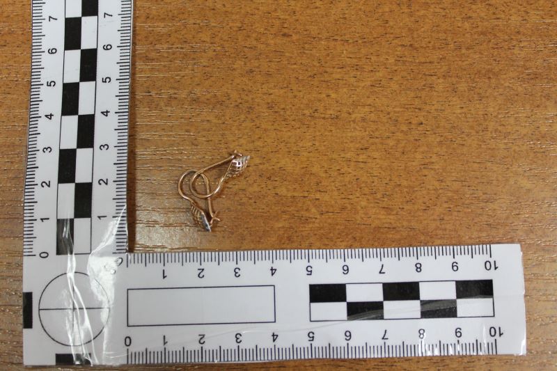 ���� ������ � ������ ������� � ���� �� � ������� - ����� ����� ���������� ������������ ��������