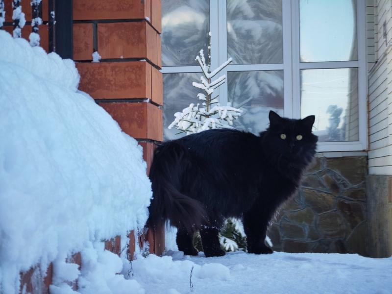 � ������� ��������� ���� - ���������, �� ����� � ������